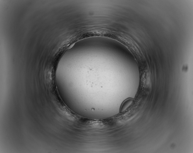 X0000098220424200805011238