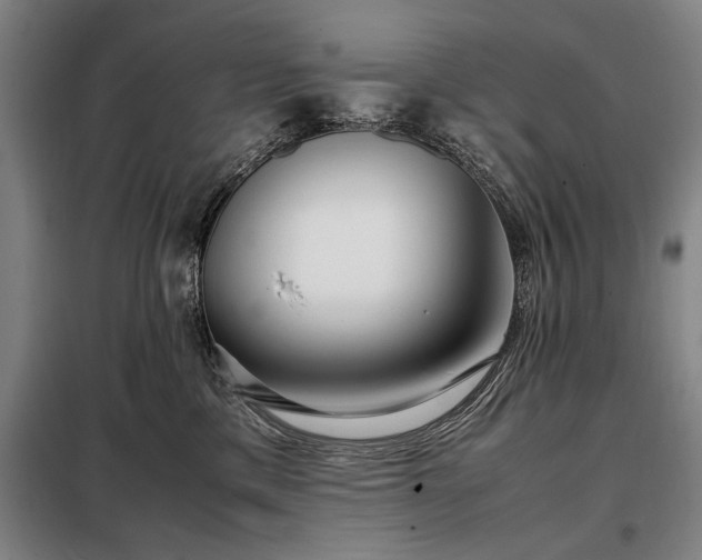 X0000098220425200805011238