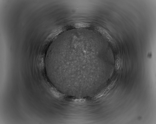 X0000098220426200805011238