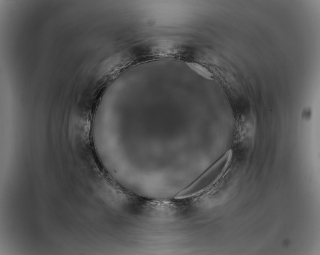 X0000098220427200805011238