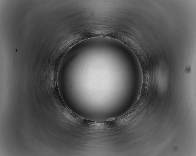 X0000098220428200805011238