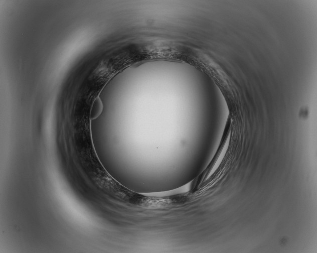 X0000098220429200805011238