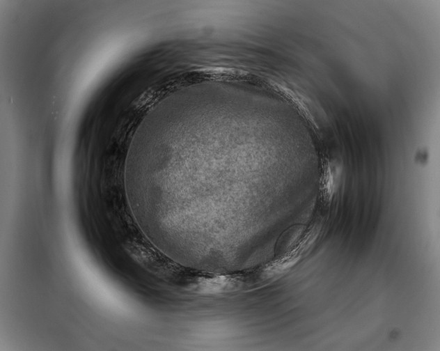 X0000098220430200805011238