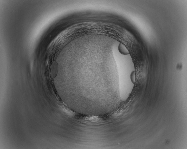 X0000098220431200805011238