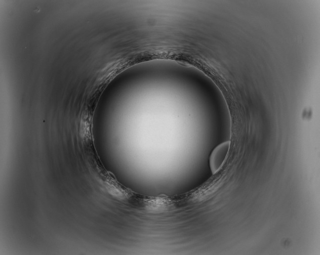 X0000098220432200805011238