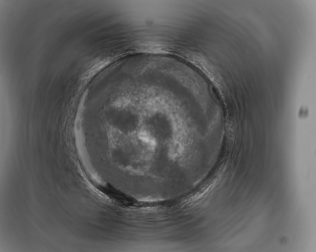 X0000098220433200805011238