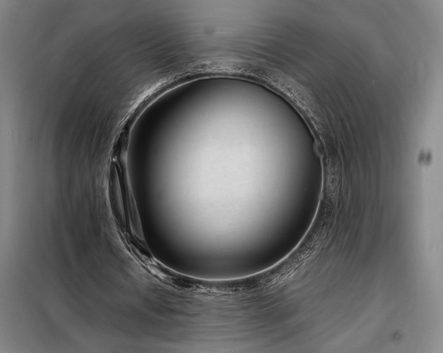 X0000098220434200805011238