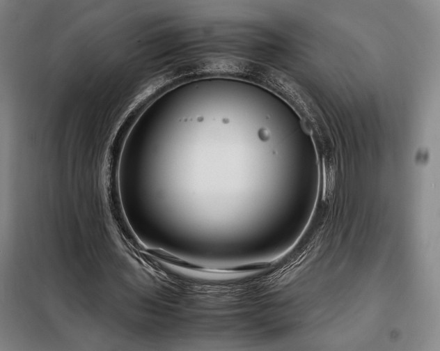 X0000098220435200805011238