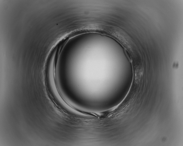 X0000098220436200805011238