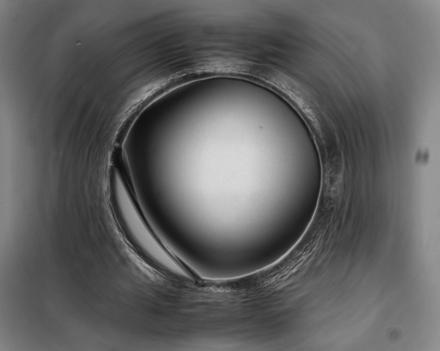 X0000098220437200805011238