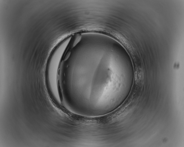 X0000098220438200805011238