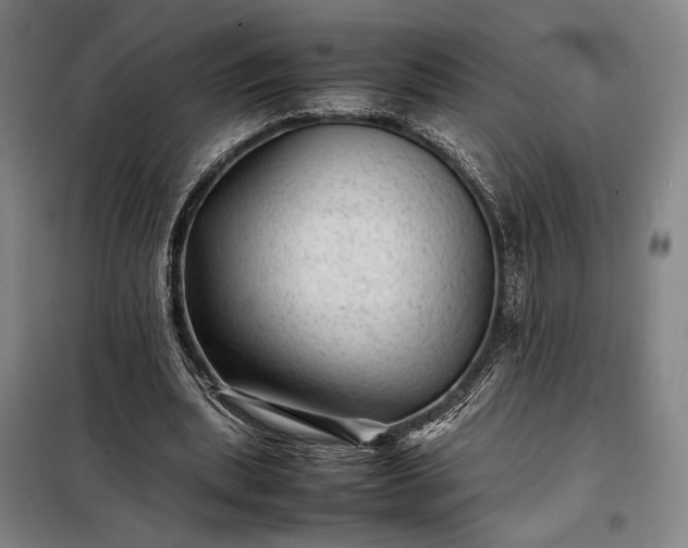 X0000098220439200805011238