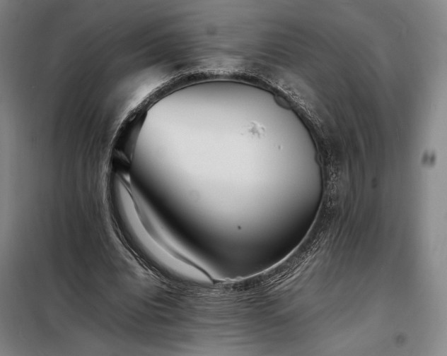 X0000098220440200805011238