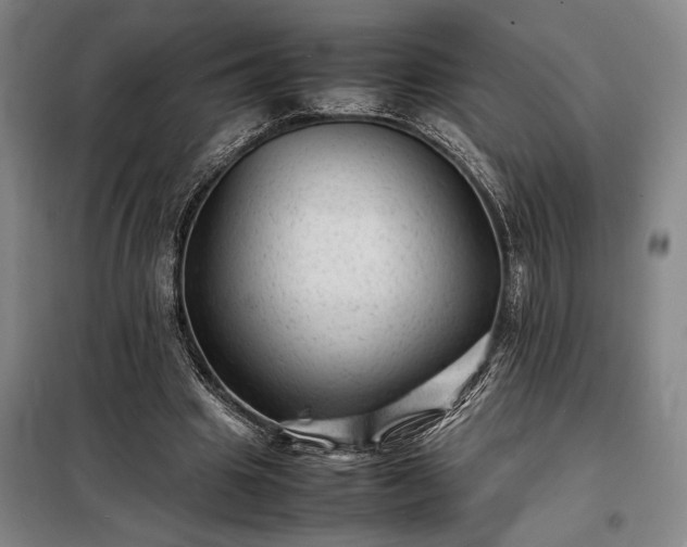 X0000098220441200805011238