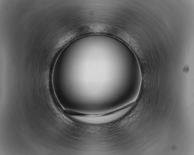 X0000098220442200805011238