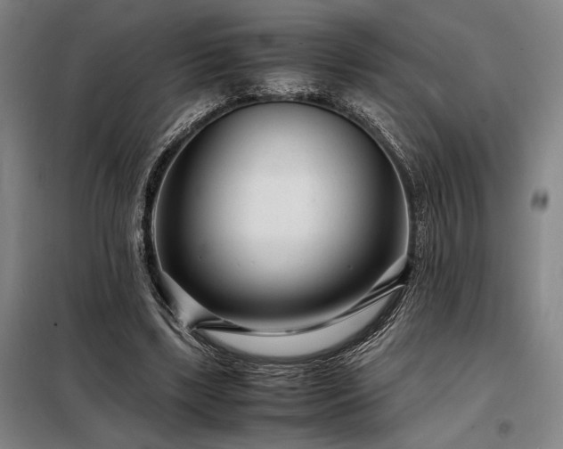 X0000098220443200805011238