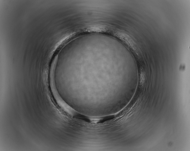 X0000098220444200805011238