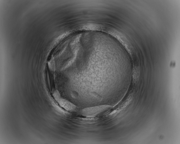 X0000098220445200805011238