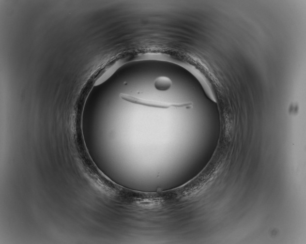 X0000098220447200805011238