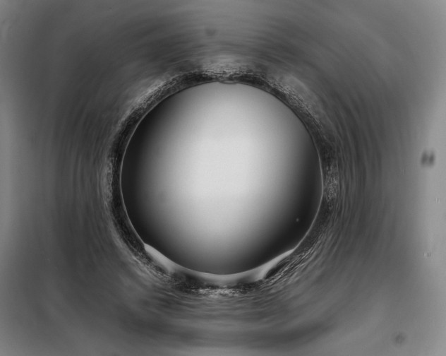 X0000098220448200805011238