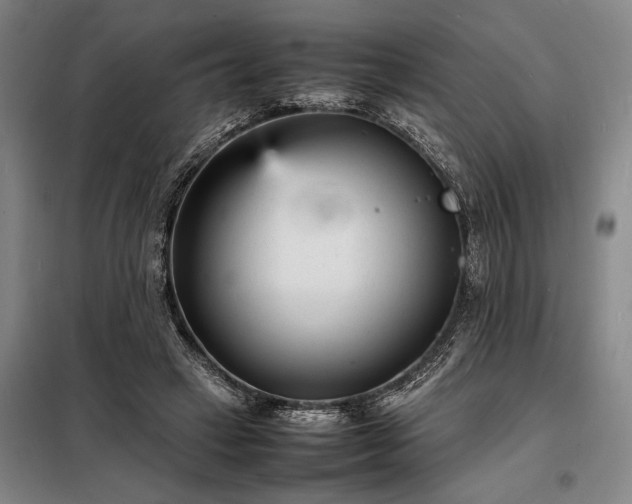 X0000098220449200805011238