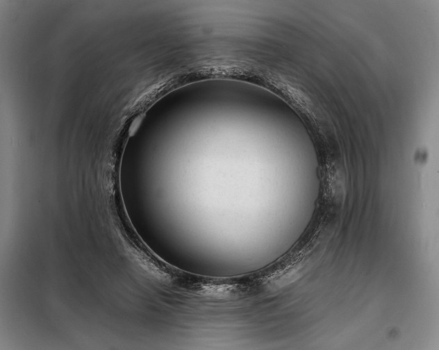 X0000098220450200805011238