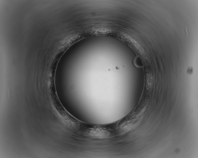 X0000098220451200805011238