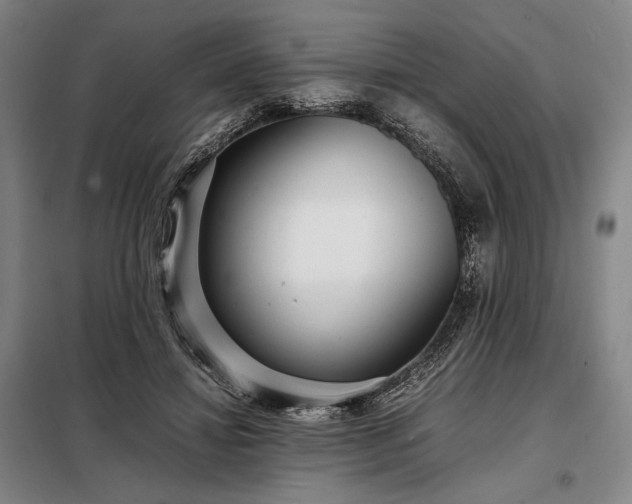 X0000098220452200805011238