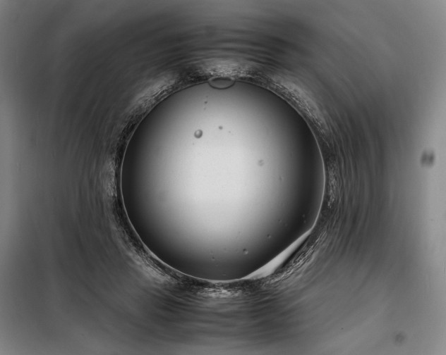 X0000098220453200805011238