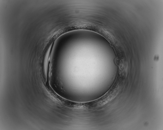 X0000098220454200805011238