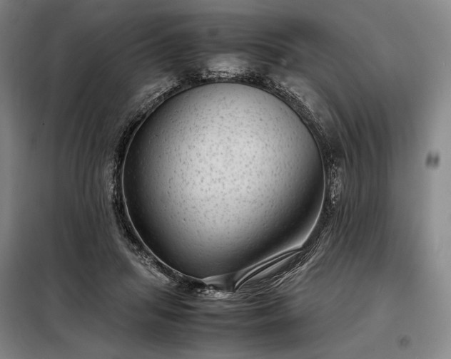 X0000098220455200805011238