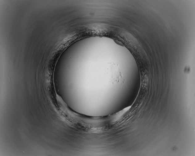 X0000098220456200805011238