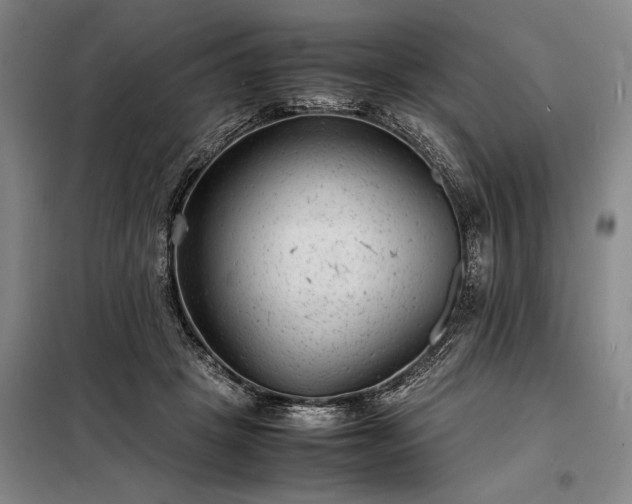 X0000098220457200805011238