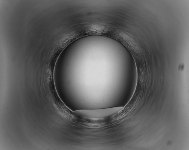 X0000098220459200805011238