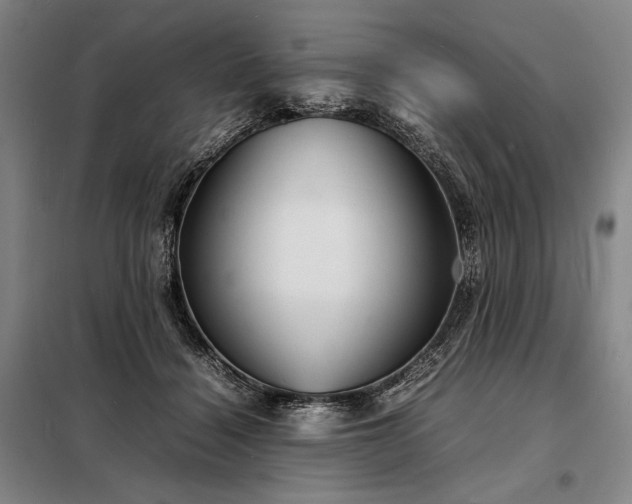 X0000098220460200805011238