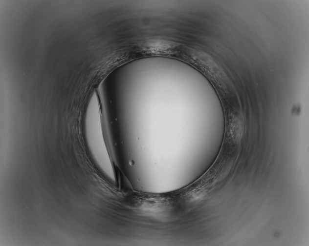 X0000098220461200805011238