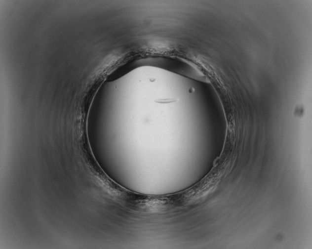 X0000098220462200805011238