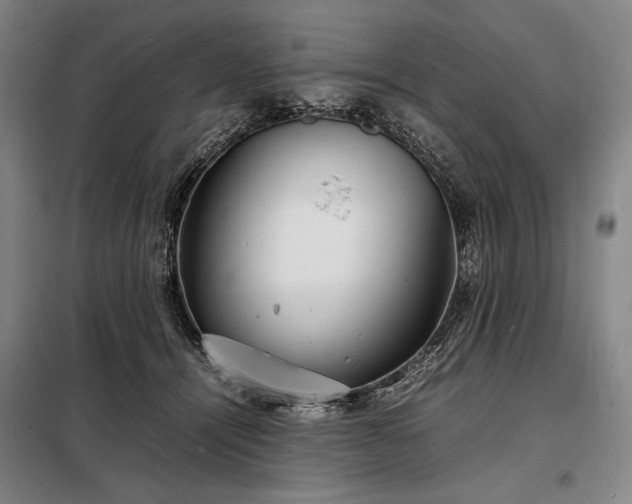 X0000098220464200805011238