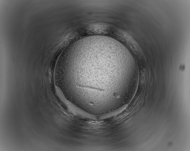 X0000098220465200805011238