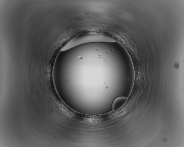 X0000098220466200805011238