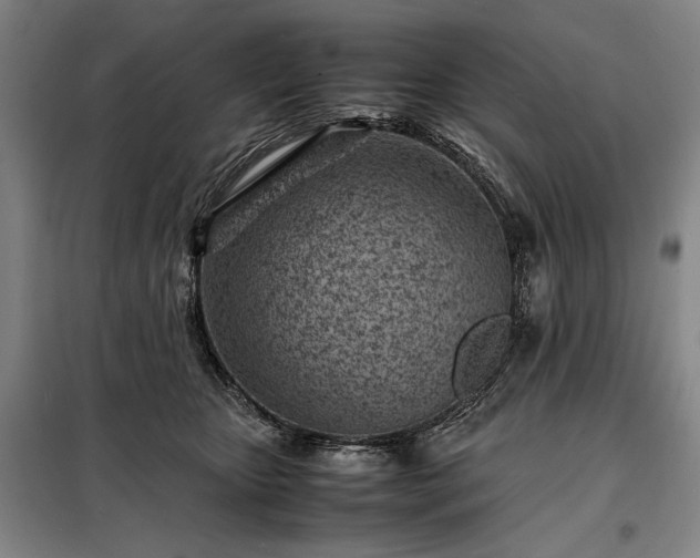 X0000098220467200805011238