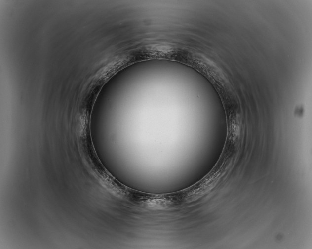 X0000098220468200805011238