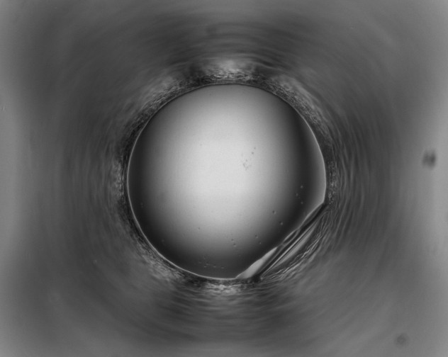 X0000098220469200805011238