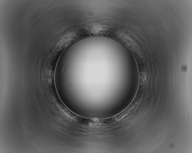 X0000098220470200805011238