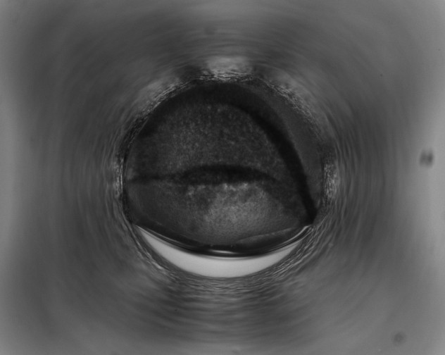 X0000098220471200805011238