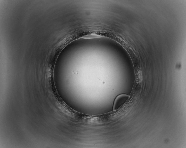 X0000098220472200805011238