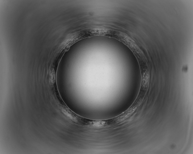 X0000098220474200805011238