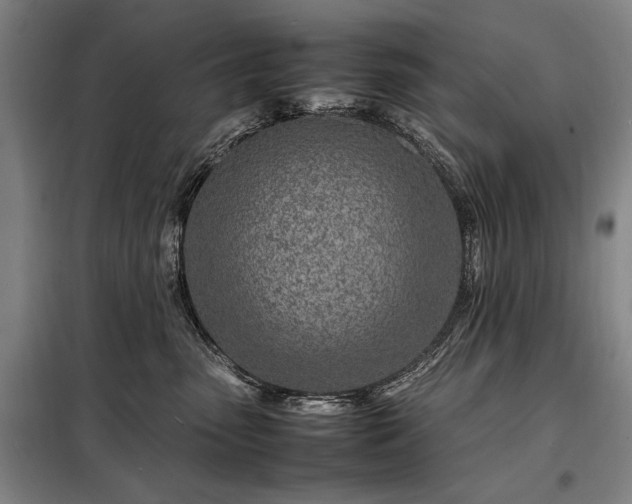 X0000098220475200805011238