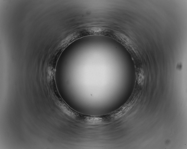 X0000098220476200805011238