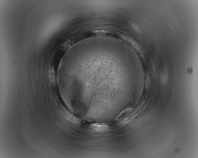 X0000098220477200805011238